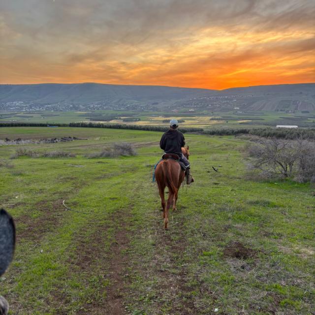ניר מאיר קרסו - hero.tagline